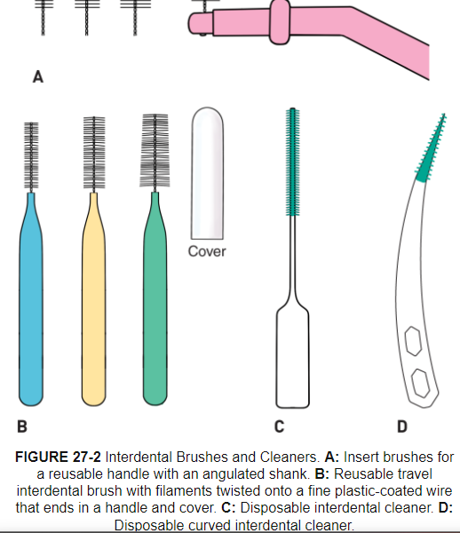<p><strong>Types</strong>: Small insert brushes with reusable handle, travel interdental brush. and rubber interdental cleaners</p><p><strong>Rubber interdental cleaners</strong>-no wire, effective in biofilm removal and reduce bleeding, popular due to ease of use and may be more comfortable during insertion, may not removal as much biofilm due to bristles </p><p><strong>When to use</strong>: 1st choice for interproximal cleaning, easier to use and preferred by patients, consider embrasure size to pick the right size, more effective in biofilm removal than floss do to it filling the embrasure </p><p><strong>Good for: </strong>tooth surface close to open embrasures, orthodontics, fixed prostheses, dental implants, splints, space maintainers, concave proximal surfaces when dental floss and other aids can’t reach, exposed IV furcation areas, patients with open embrasures and moderate to severe AL, patients with periodontitis with larger interdental spaces with recession or root exposure, for application of chemotherapeutic agents (fluoride, gel, mouth rinse, antimicrobial, desensitizing) </p><p><strong>Procedure: </strong>apply pressure against proximal root surface to removal biofilm (mesial and distal) </p><p><strong>Care: </strong>clean brush during use via running water, clean thoroughly after use and dry in open air, discard before filaments get worn</p>