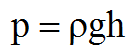 P = rgh \n 

\
met: p = door de vloeistofkolom uitgeoefende druk \[Pa\] \n r = massadichtheid van de vloeistof \[kg/m3\] \n g = versnelling van de zwaartekracht \[\~ 10 m/s2\] \n h = hoogte van de vloeistofkolom \[m\]