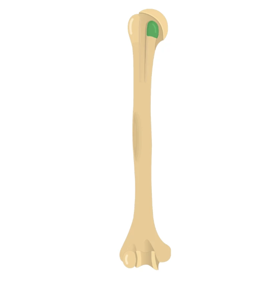 <p>Landmark Name:</p>