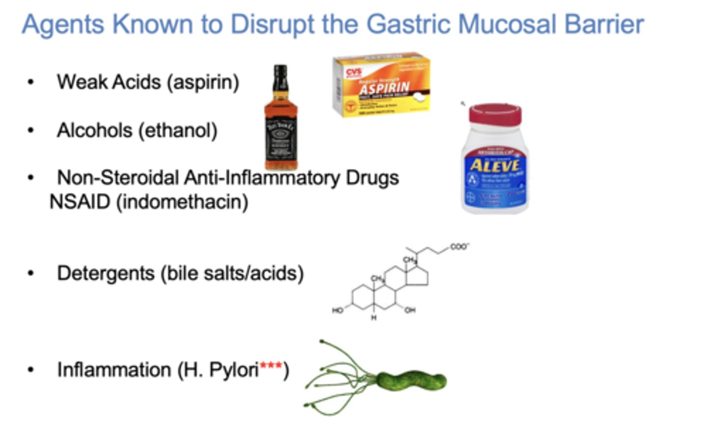 <p>- Weak acids (aspirin)</p><p>- Alcohol</p><p>- NSAIDs</p><p>- Detergents (bile salts/acids)</p><p>- Inflammation (H.Pylori)</p>