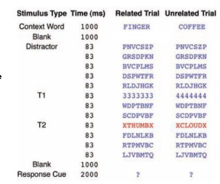 <p>First, participants are show a word as the context word</p><p>Then they show participants a bunch of strings of random letters </p><p>There are two targets in these strings</p><p>T1: Is a string of the same number (333333)</p><p>T2: is a target word (XTHUMBX)</p><p>End of the trial they are asked if the number of T1 was odd or even and was the word of T2 related or unrelated to the context word</p>