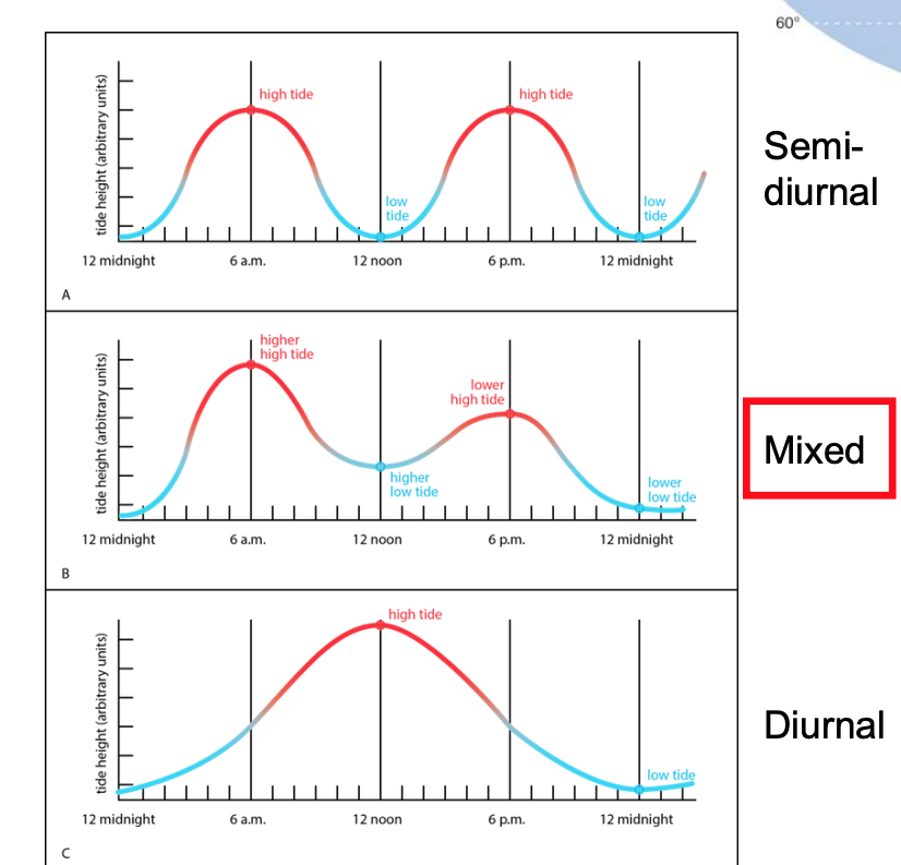 <p>Hawai’i has mixed</p>