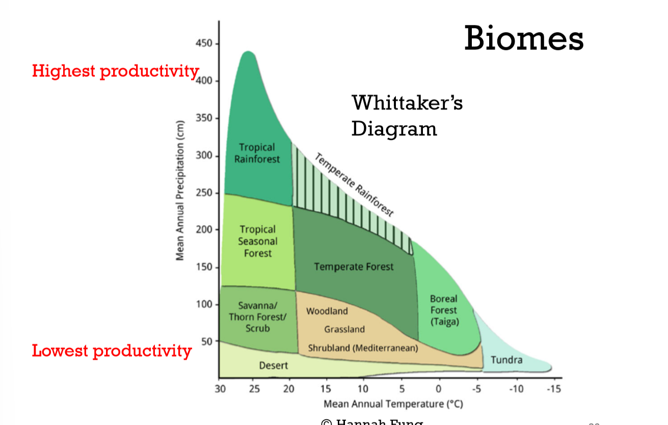 <ul><li><p>Vegetation growth, stature, increases with moisture, temperature</p></li><li><p>Seasonality is secondarily important!</p><ul><li><p>Biomes are formed with predictable characteristic vegetation</p></li></ul></li></ul><p></p>