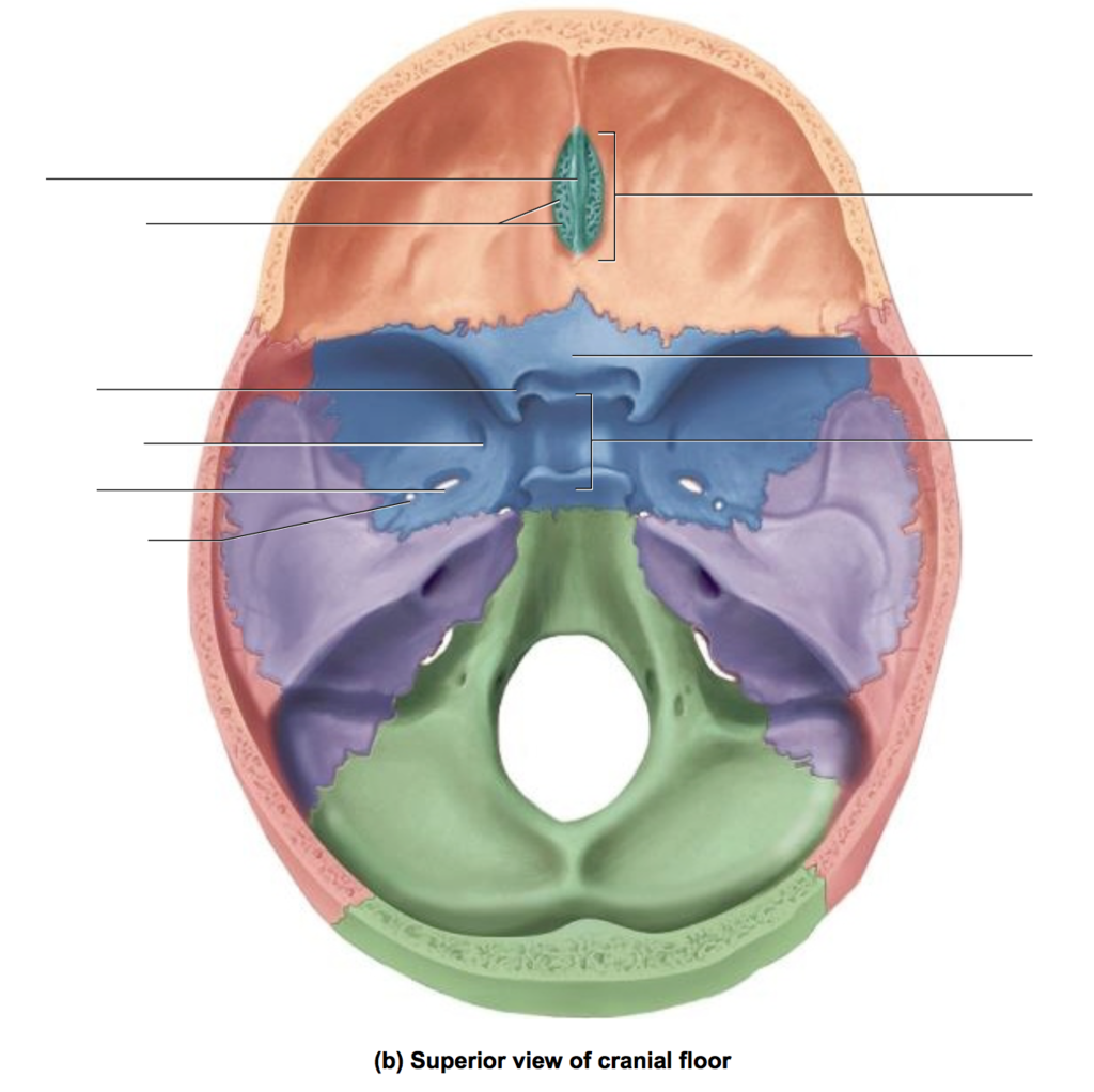 <p>(the shark fin inside the turquoise area)</p>