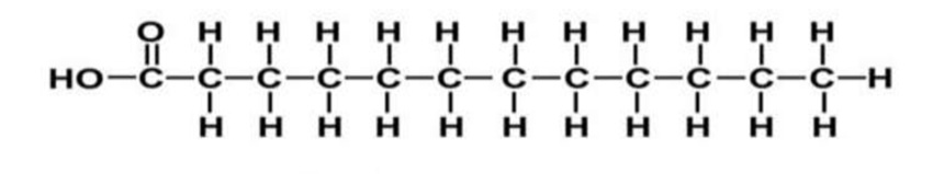 <p>Which fatty acid is shown in this diagram?</p>