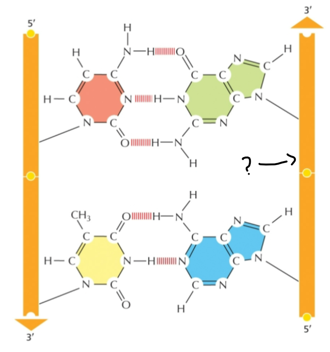<p><span><span>Identify the indicated portion</span></span></p>