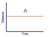 <p>What is the speed and gradient for this graph? </p><p>Name of graph? </p>