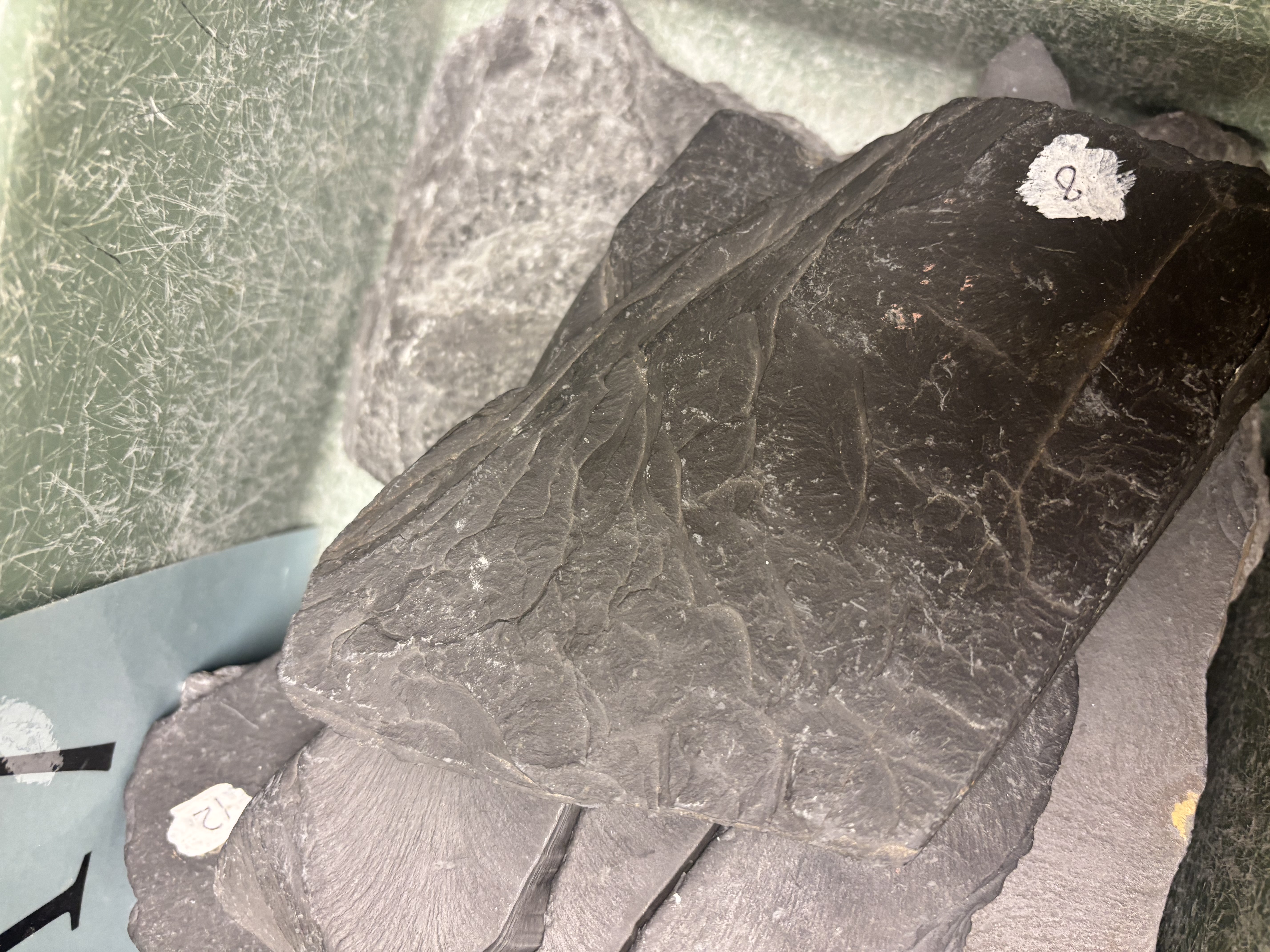 <p>Foliated metamorphic rock; very fine-grained; dull surface; low-grade metamorphism of shale.</p>