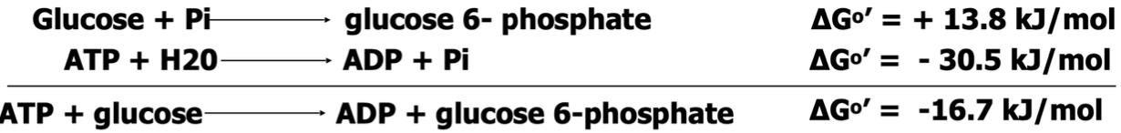 <ul><li><p>Glucose+ATP→Glucose-6-phosphate&nbsp;(G6P)+ADP</p></li><li><p>In glycolysis, glucose is phosphorylated to glucose-6-phosphate by the enzyme hexokinase (or glucokinase in liver cells), using ATP as the substrate, which is converted to ADP. </p><ul><li><p>substrates: glucose and atp</p></li><li><p>products: glucose-6-phosphate (G6P)</p></li></ul></li><li><p>this reaction couples the energy released from ATP hydrolysis to activate glucose for further metabolism down the glycolysis pathway</p><ul><li><p>this is an irreversible step</p></li></ul></li></ul><p></p>