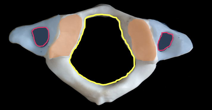 <p>yellow circle</p>