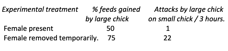 <p>When food scarce:</p><ul><li><p>brood hierarchy: <strong>useful</strong></p></li></ul><p>When food is not scarce</p><ul><li><p>brood hierarchy: <strong>cost</strong></p></li></ul><p></p>