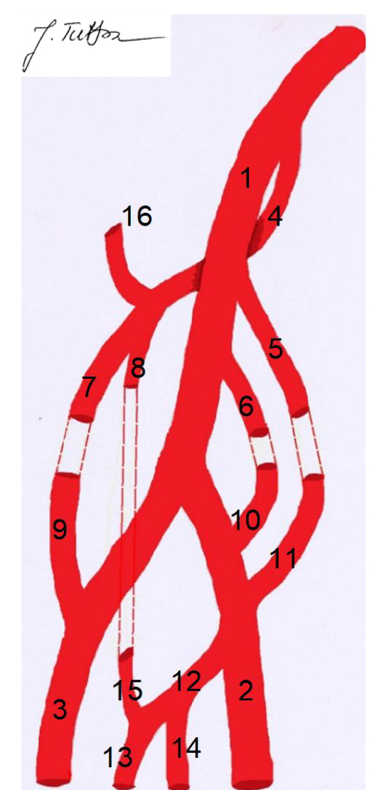 <p>7</p>