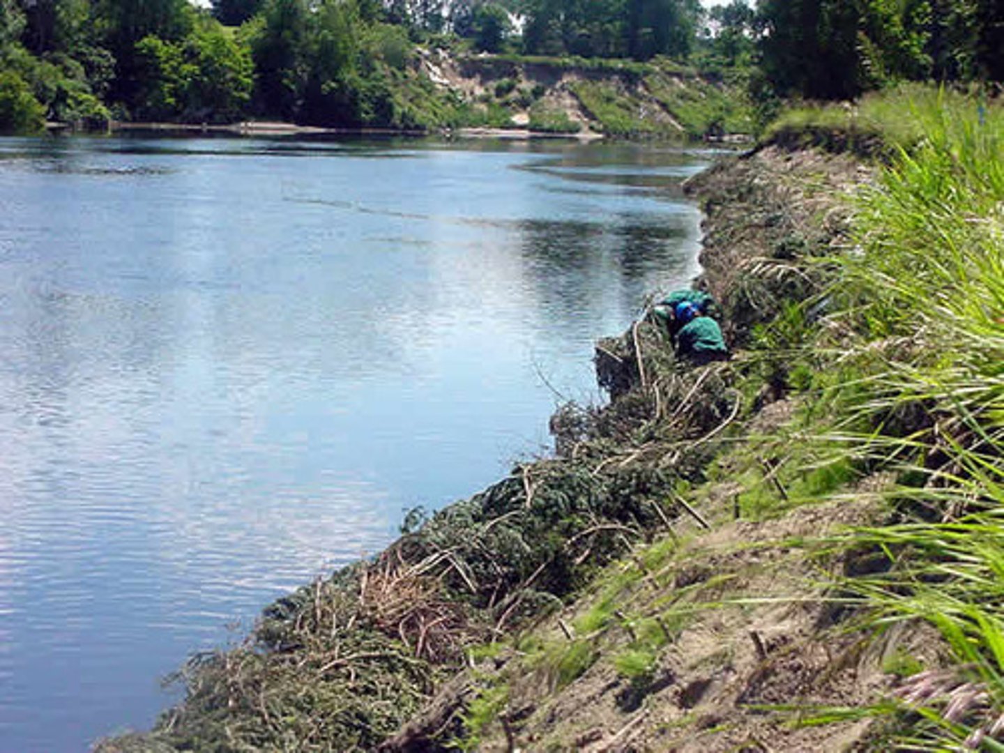 <p>flood risk increase, surrounding area, can't be used for human use, river is not easily navigated</p>