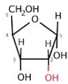<p>ID this structure</p>