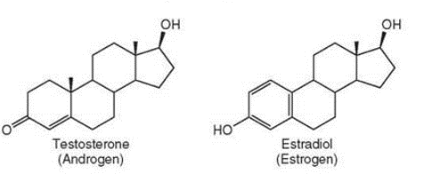 <p>in the chemical groups attached to the rings of the carbon skeleton</p>