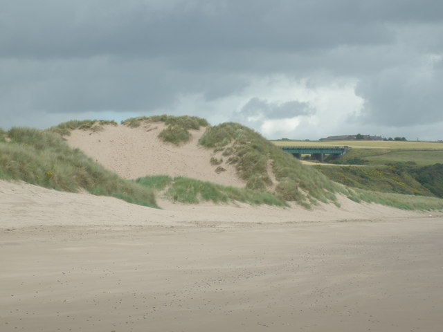 Gaps created when storm events erode sections of the yellow dune through wind or wave action