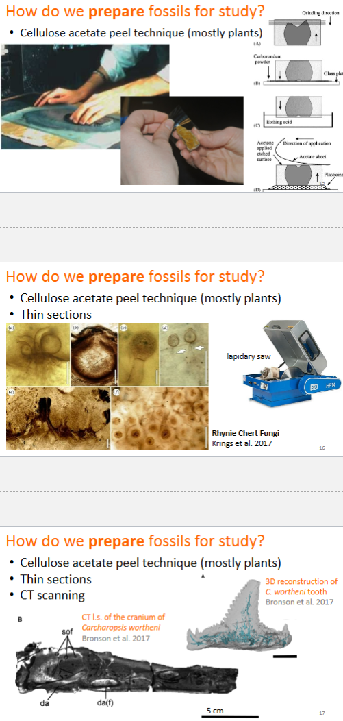 <p>Cellulose acetate peel technique (mostly plants)</p><p>Thin Sections</p><p>CT Scanning</p><p>Traditional Preparation</p>