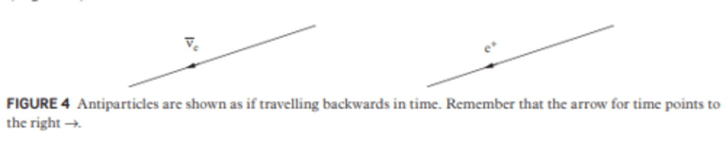 <p>Straight-line arrows in the opposite direction of time, with the respective letter or character of the particle indicated.</p>