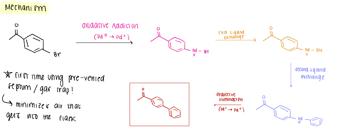 <p>reaction between an aryl halide + boronic acid (oxidative addition, 2 ligand exchanges, reductive elimination) to form new carbon carbon bonds!</p>