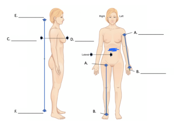 <p>What is this directional term?</p>