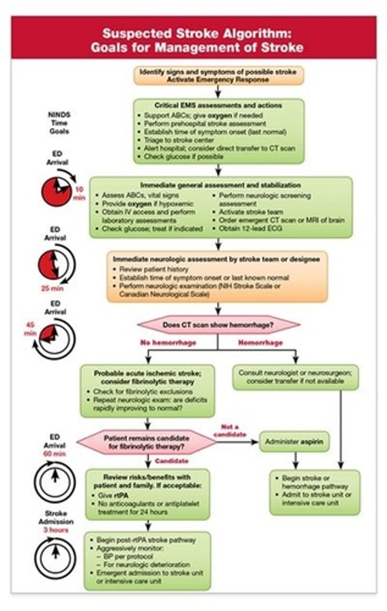 <p>Identification of s/s of possible stroke and activation of emergency response (step 1)</p><p>Critical EMS assessments and actions (step 2)</p><p>Immediate general assessment and stabilization (step 3)</p><p>Immediate neurologic assessment by the stroke team or designee (step 4)</p><p>CT scan: hemorrhage or no hemorrhage (step 5)</p><p>Fibrinolytic therapy risk stratification if candidate (steps 6, 8, and 10)</p><p>General stroke care (steps 11 and 12)</p>