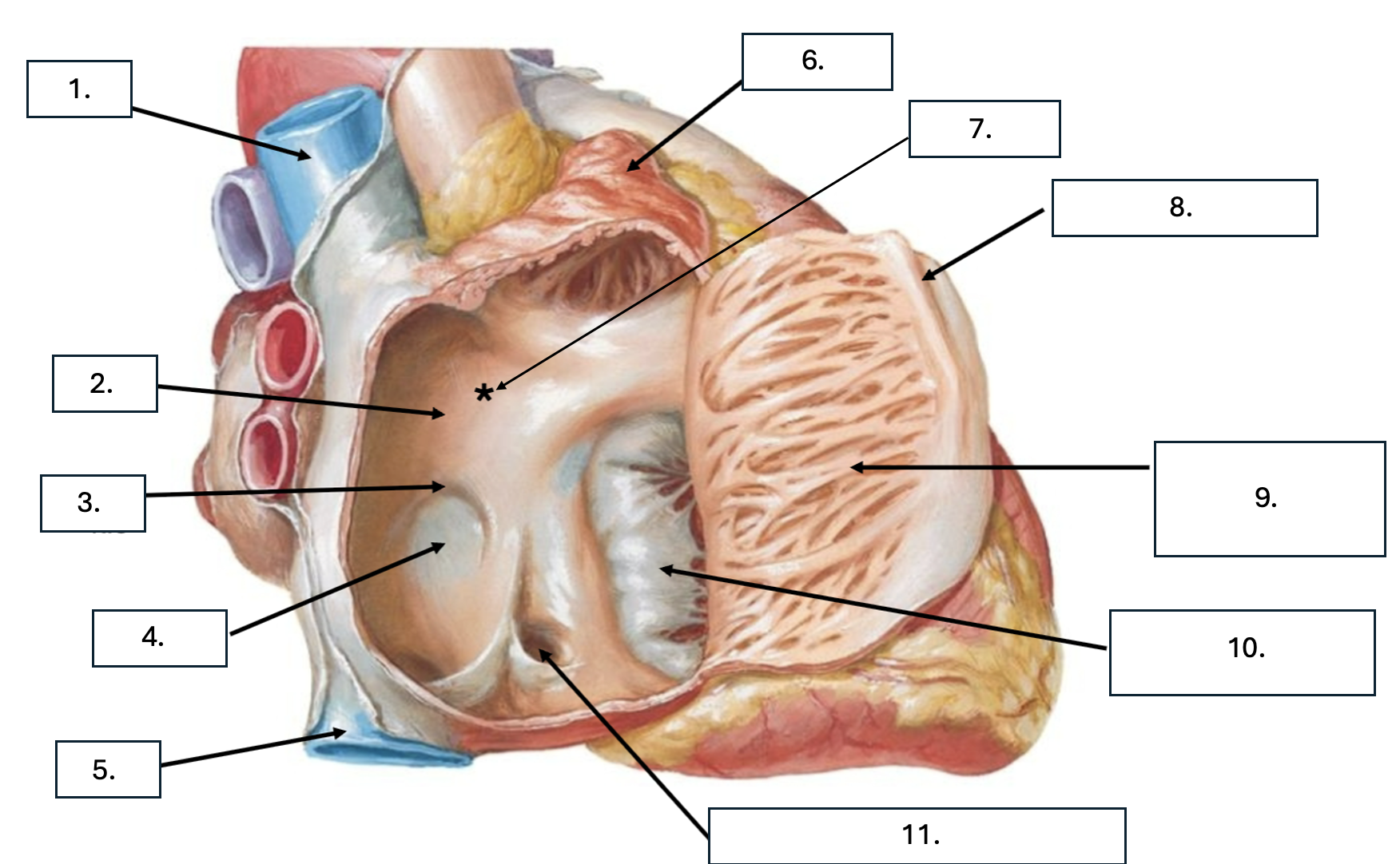 <p>What is number 4?</p>