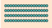 Type of polysaccharide:

* Plant cell wall
* Subunit: B-glucose
* Bonds: 1-4
* Branches: No