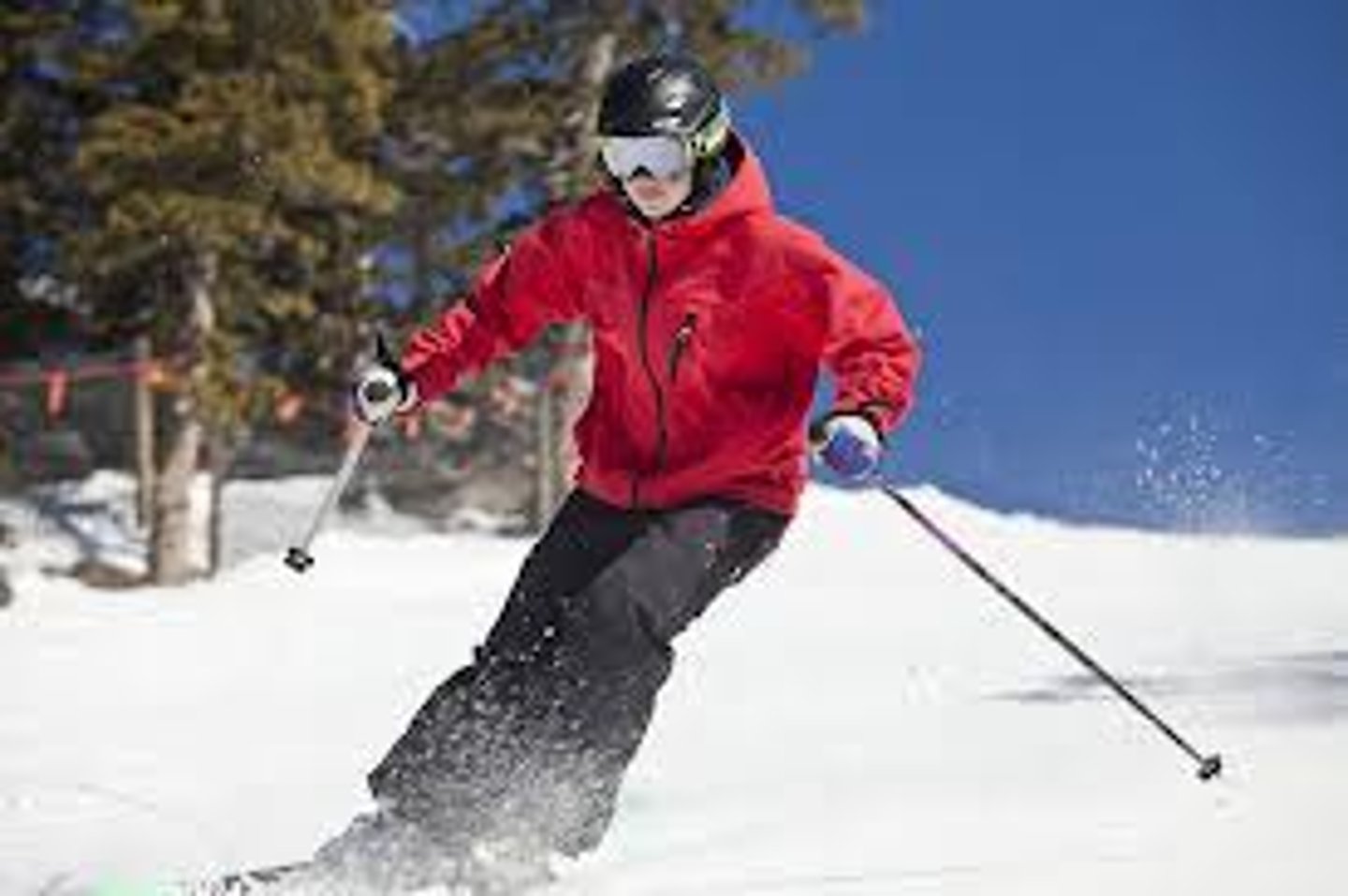 <p>ski / go skiing</p>