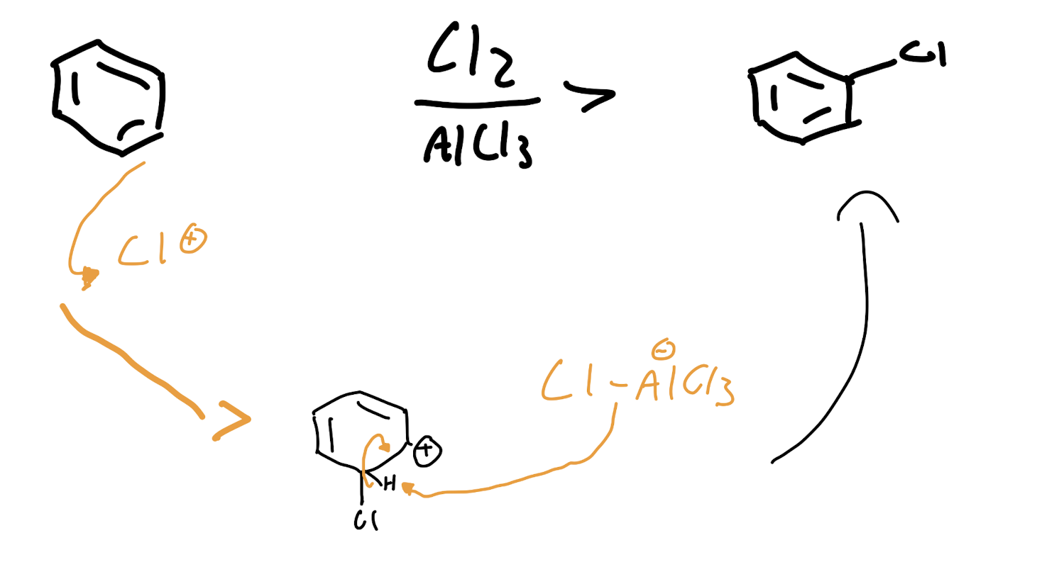 <p>Halogenation - Benzene Rings</p>