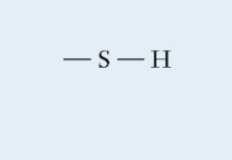 <p>Sulfhydryl</p>