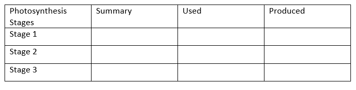 <ol><li><p>Absorption of Light</p></li><li><p>Conversion of Light</p></li><li><p>Storage of Energy</p></li></ol>