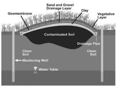 <ul><li><p><span style="background-color: transparent;">IN SITU: removal of the contaminant(s) while soil is in its original place</span></p></li><li><p><span style="background-color: transparent;">EX SITU: removal of contaminated soil prior to removing the contaminant(s)</span></p></li></ul><p></p><p><span style="background-color: transparent;">Burial &amp; Capping</span></p><ul><li><p><span style="background-color: transparent;">migration of pollutants can occur by:</span></p></li><li><p><span style="background-color: transparent;">rainwater moving through the soil</span></p></li><li><p><span style="background-color: transparent;">surface water moving over the ground</span></p></li><li><p><span style="background-color: transparent;">wind blowing across the site</span></p></li><li><p><span style="background-color: transparent;">covers the area with concrete, asphalt, clay or a geomembrane material preventing the migration of pollutants from the contamination site</span><br></p></li></ul><p></p>