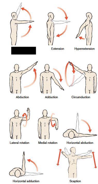 Glenohumeral joint 

what is this?