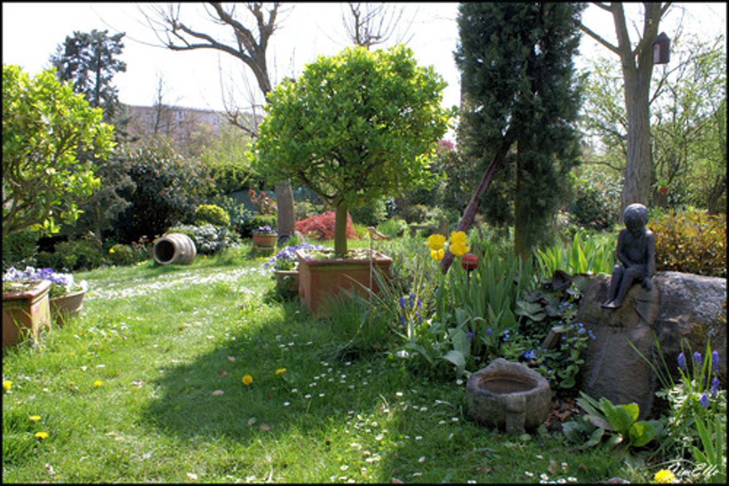 <p>a big garden.</p>