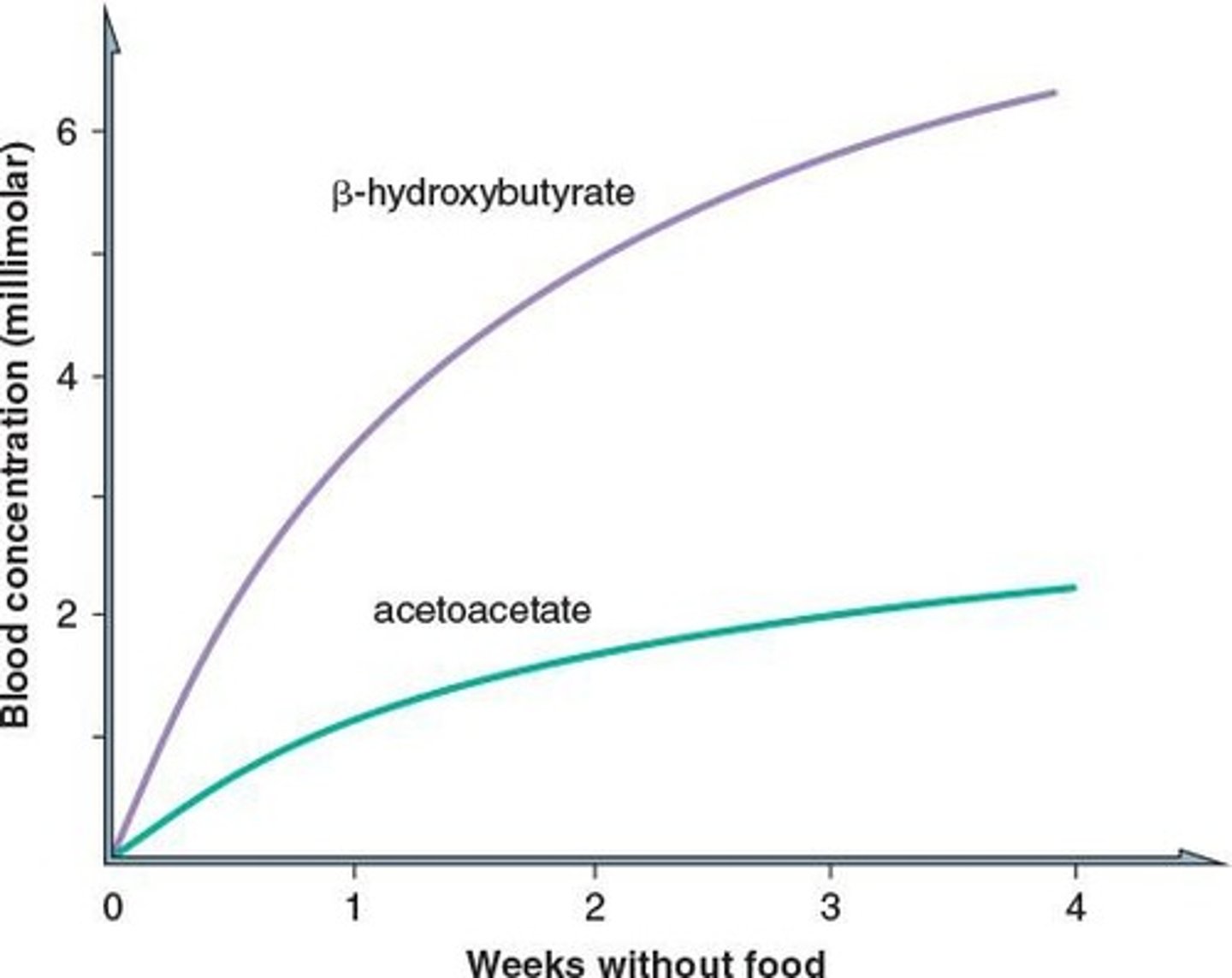 <p>Produced during fat metabolism under specific conditions.</p>
