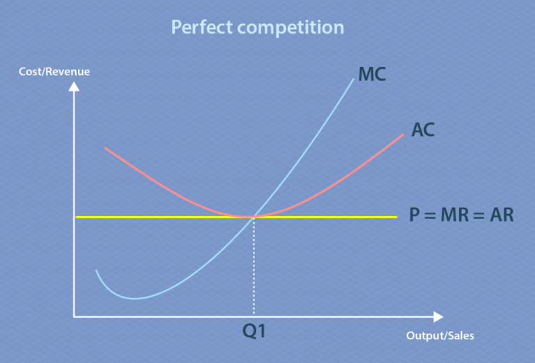<p>Explain the following graph of perfect competition</p>