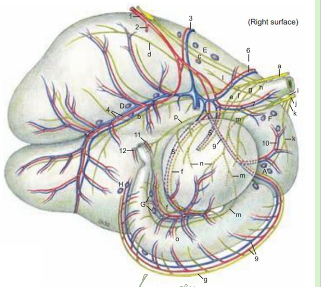 <p>what is 8</p>