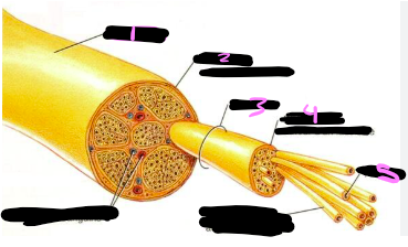 <p>1?</p>