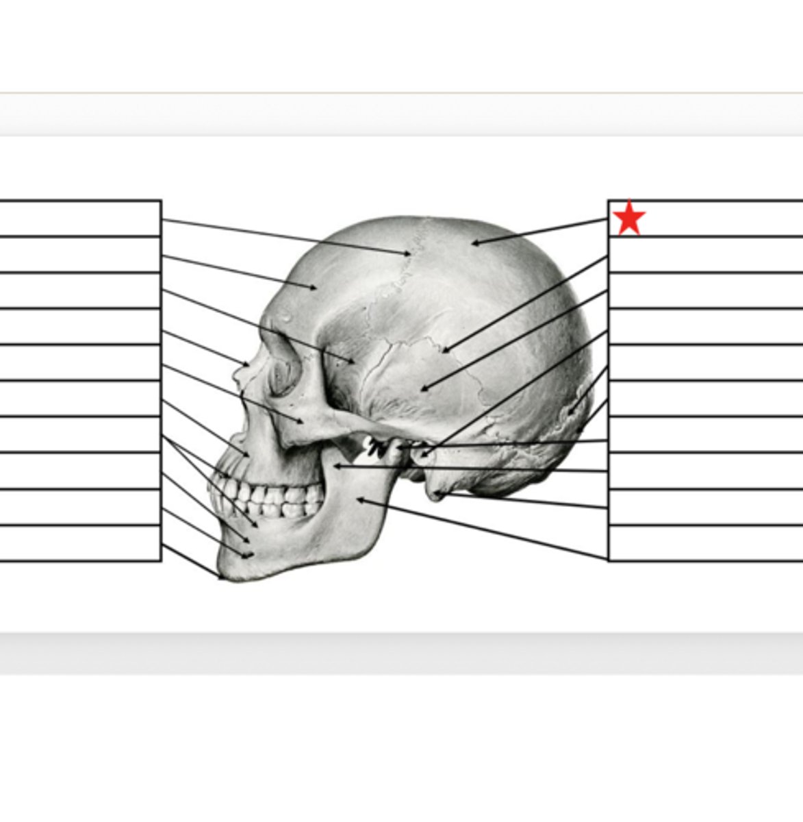 <p>What is this?</p>