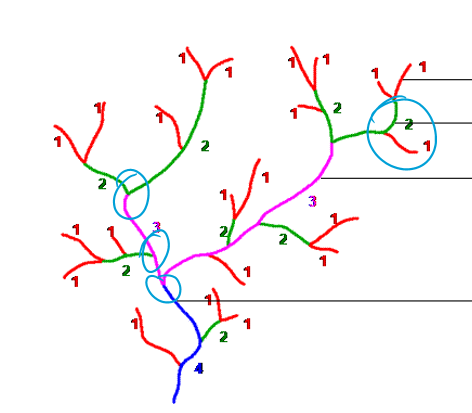 knowt flashcard image