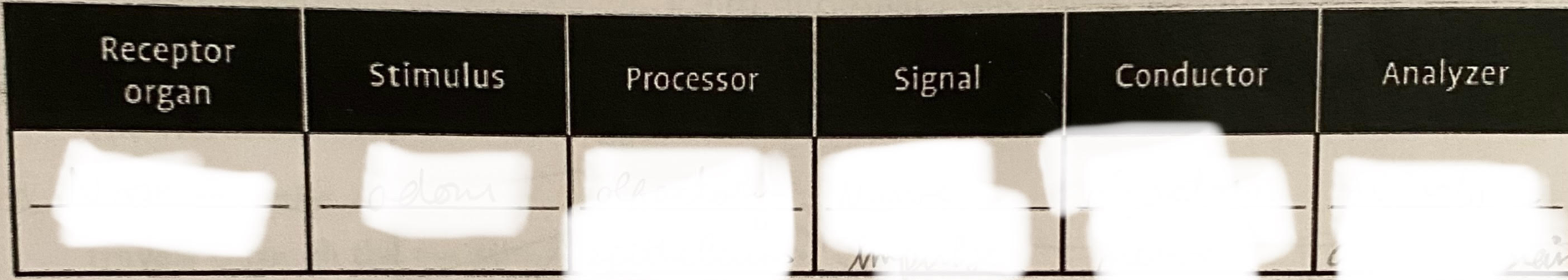 <p>ear:</p>