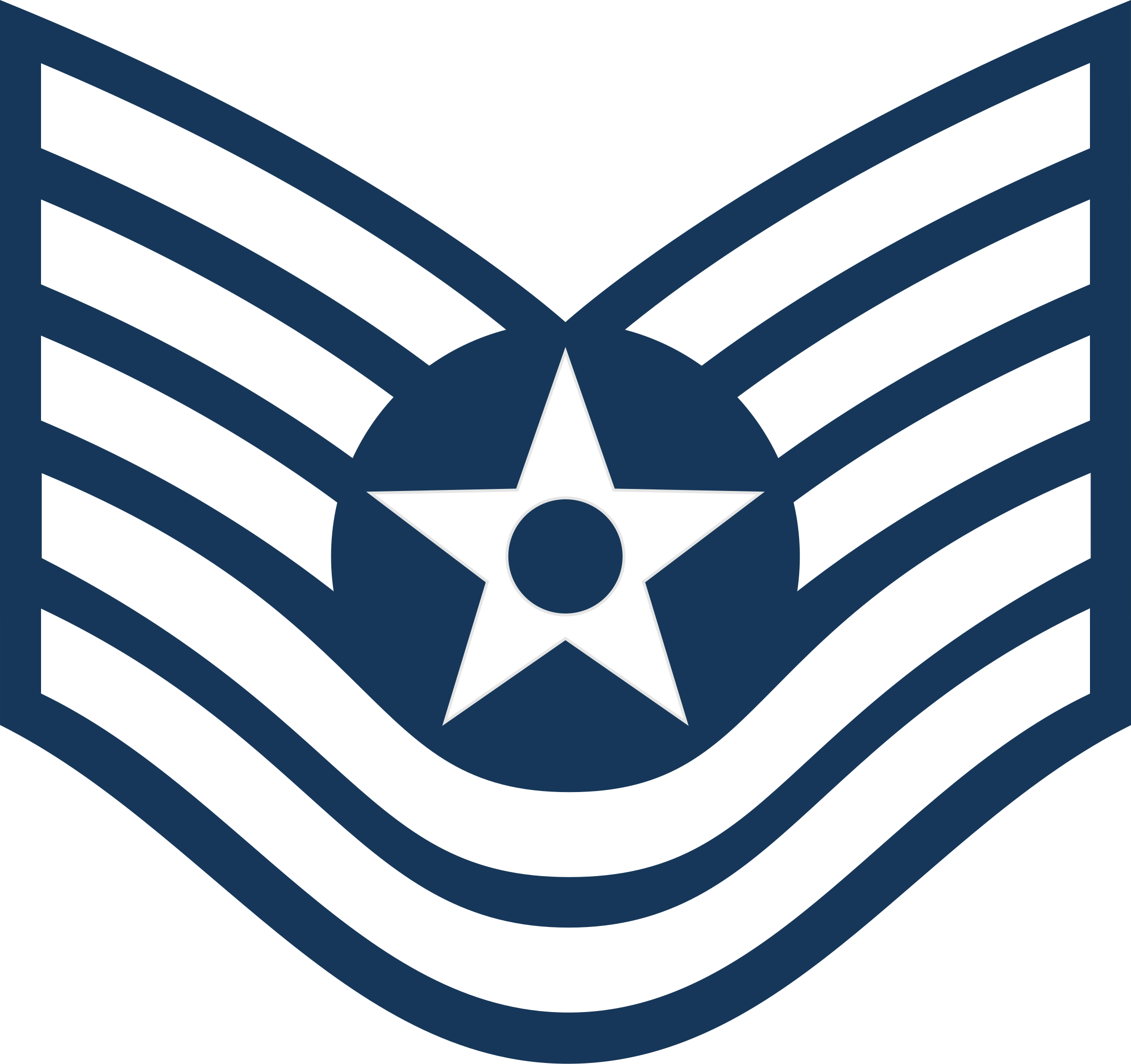 <p>TSgt</p>