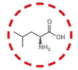 <p>What amino acid is this?</p>