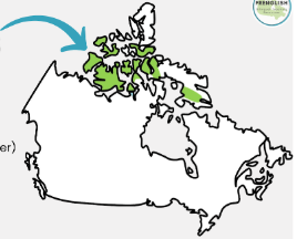 <p>Arctic Region</p>