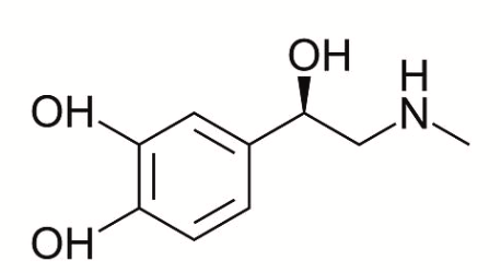 <p>what molecule is this?</p>