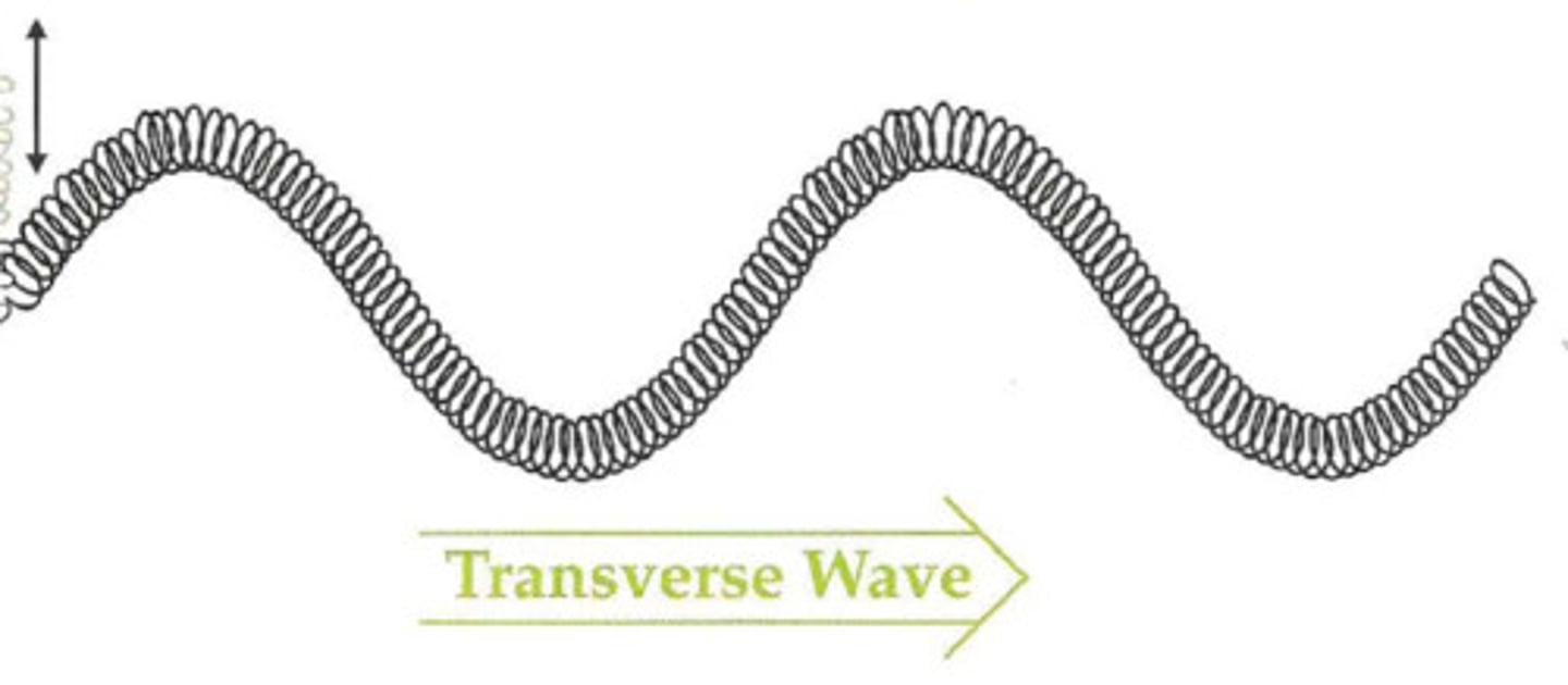 <p>A wave where the oscillation is perpendicular to the direction of travel (e.g., light).</p>