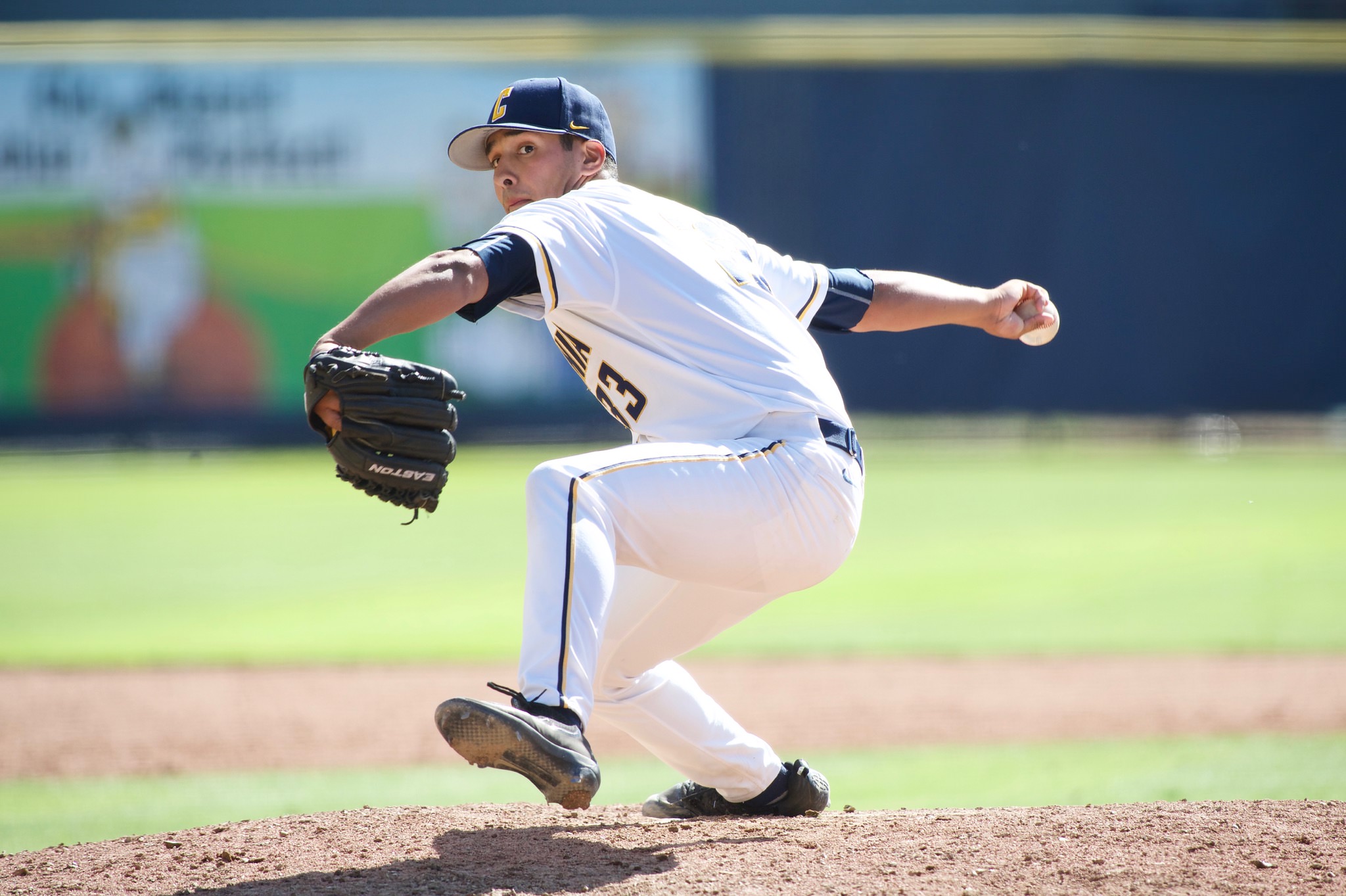 <p>Get close so the subject fills most of the image; removes distractions</p>