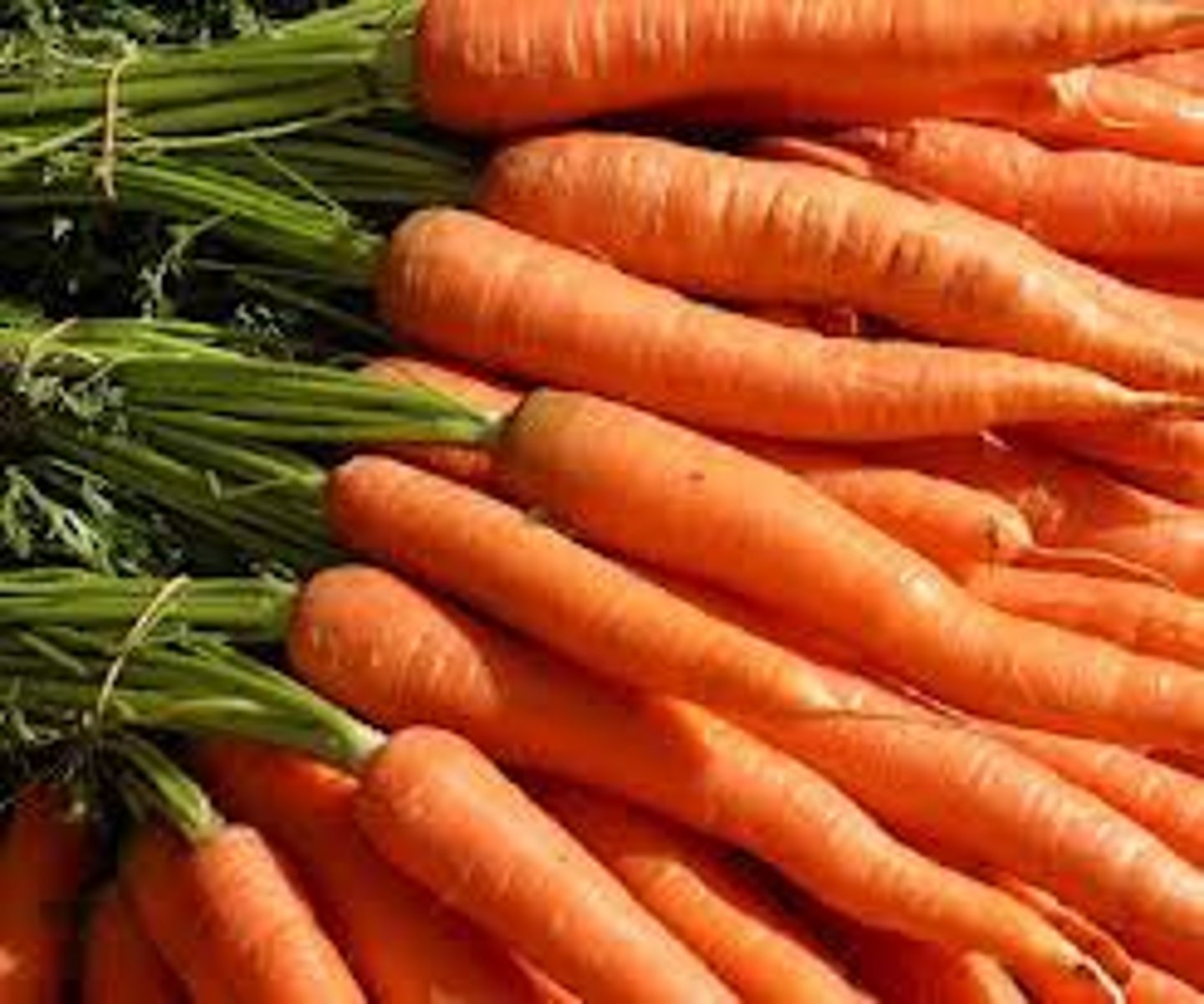 <p>Dark green and orange veggies</p>