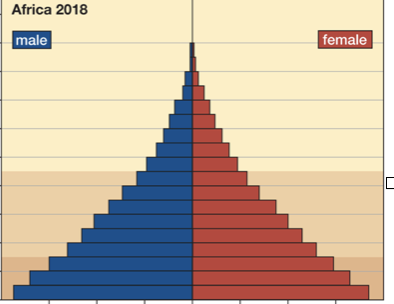 <p>if adults are having more children than are needed to replace themselves, the population is above RLF and is rapidly expanding; the age diagram will be _______ ________</p>