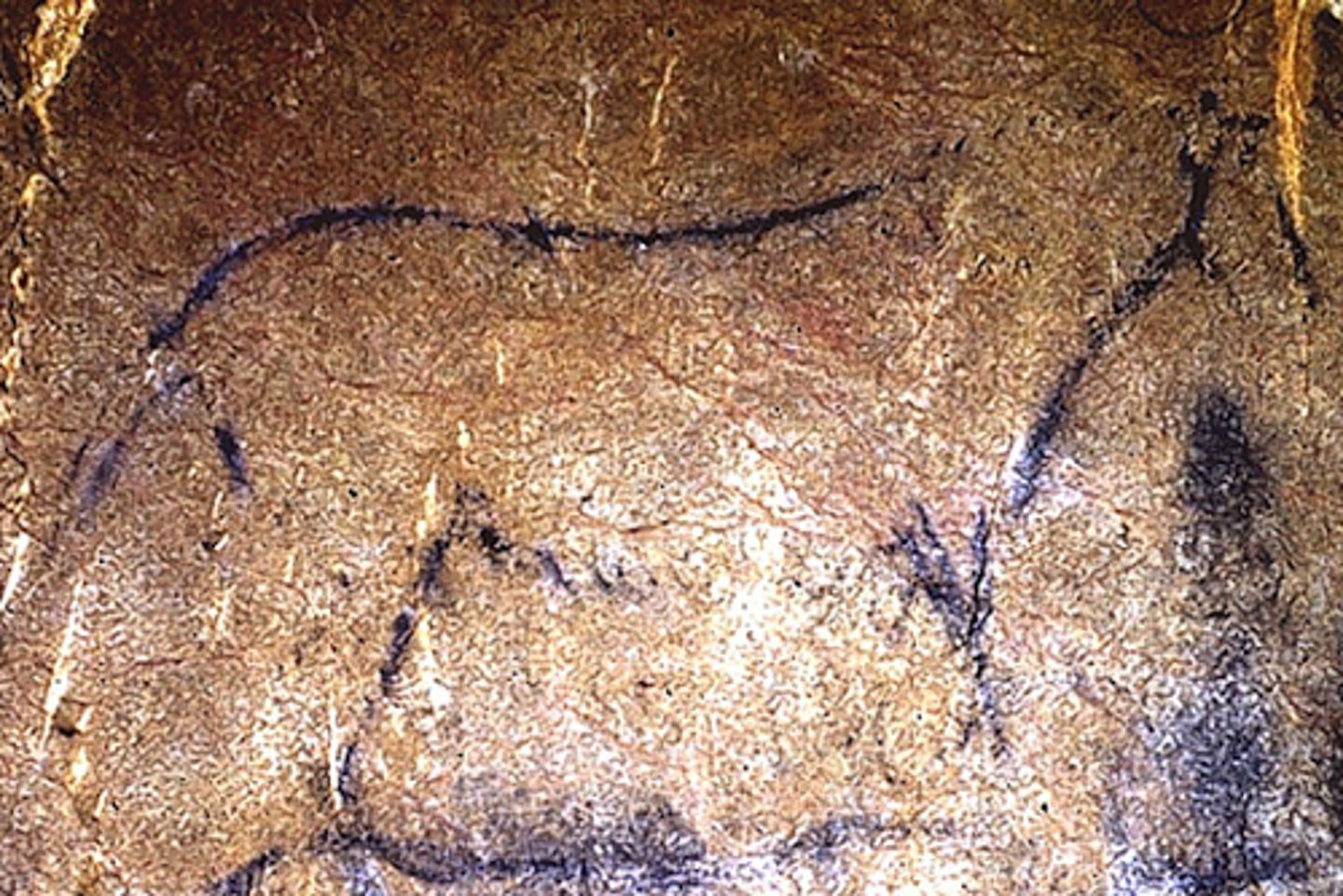 <p>Located in Spain</p>